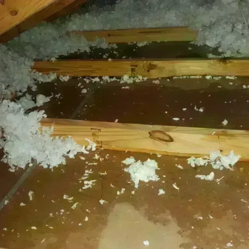 Attic Water Damage in Dodge Center, MN