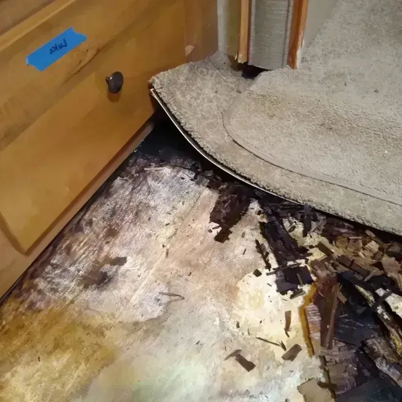 Best Wood Floor Water Damage Service in Dodge Center, MN